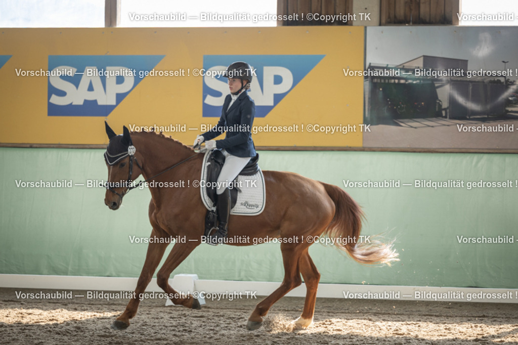 _D5A5767 | Emotionale Pferde- & People-Fotografie rund um Heidelberg, Leimen & Umgebung. Natürliche Fotos von Pferd, Mensch & Familie. Jetzt Termin sichern!