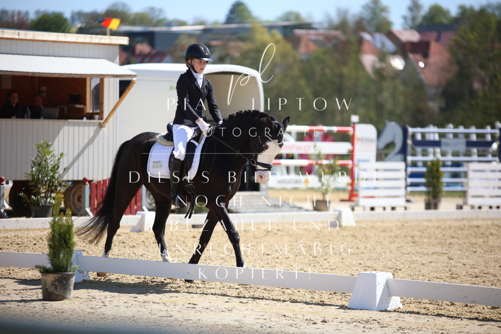 IMGT1494 | pl-fotografie