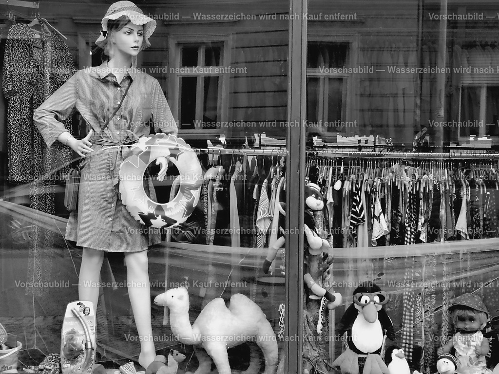 Schaufenster | online Fotogalerie mit schwarz-weiß Fotografien und Shop für zeitlose  Poster und Leinwände in stilvollem schwarz weiß  - Realisiert mit Pictrs.com