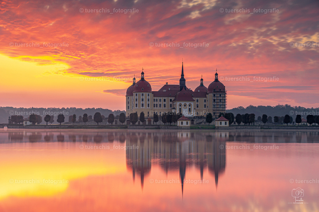 _DSC4977 | tuerschis_fotografie - Realisiert mit Pictrs.com