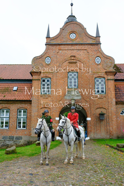 Jagd Kletkamp 26-9439_MarinaHewig | Fotografie, FotoArt, PferdesportArt, Pferdesportfotografie, Landschaftsfotografie, Reisefotografie, Reise, Pferde - Realisiert mit Pictrs.com