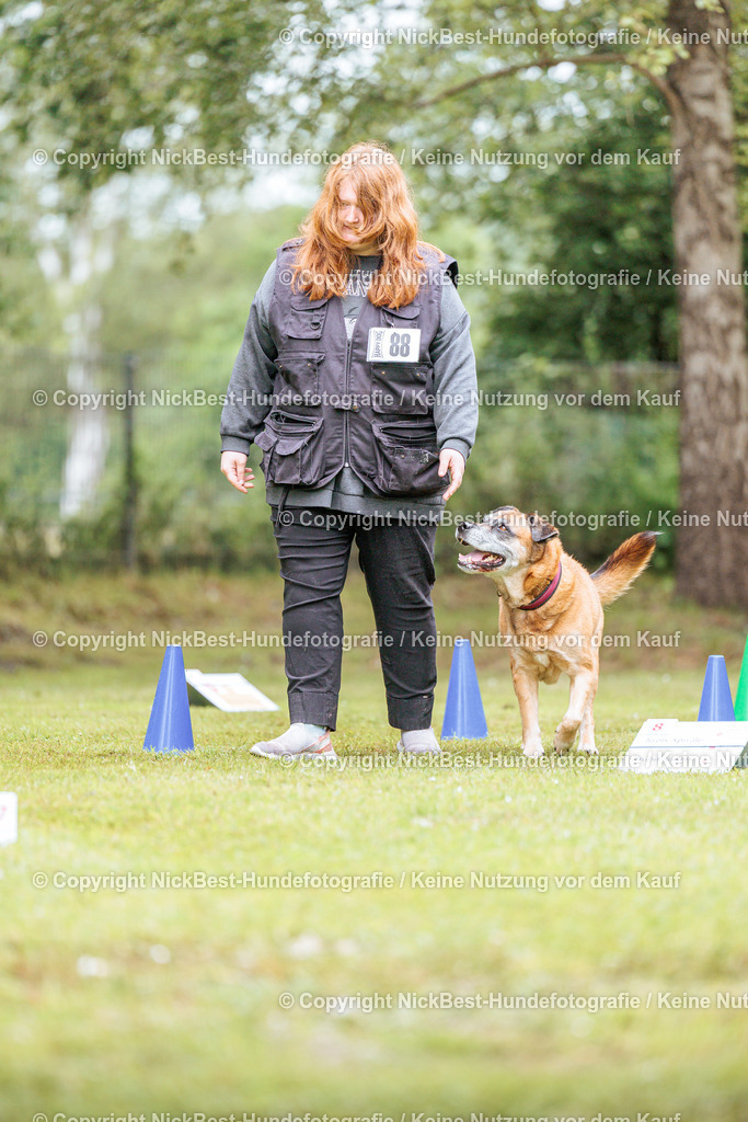 RO-Blumenthal-2026-Nickbest-Hundefotografie-4248 | Dein Hund! Dein Moment! Deine Erinnerungen! Hundefotografie in Bremen Blumenthal. Ich fange die besonderen Momente deines Vierbeiners ein – ob Indoor mit Blitzanlage oder in der freien Natur. Sicher dir dein Moment und dein Termin für eure Erinnerungen.