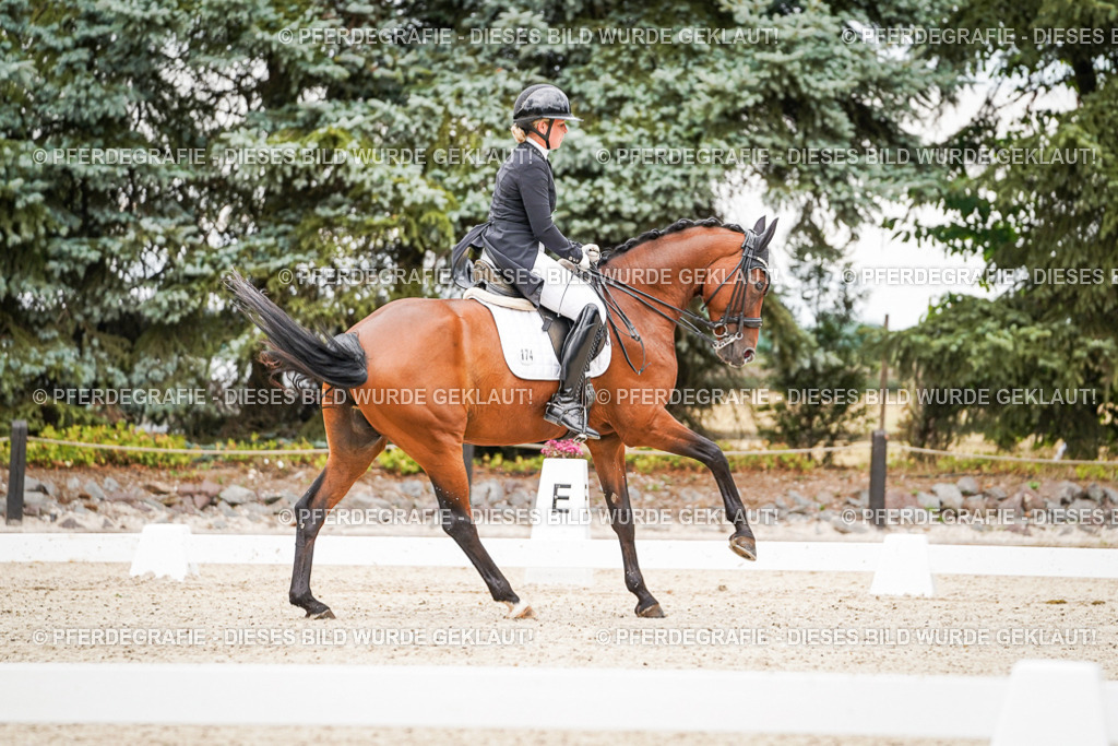 DSC07305 | Pferdegrafie