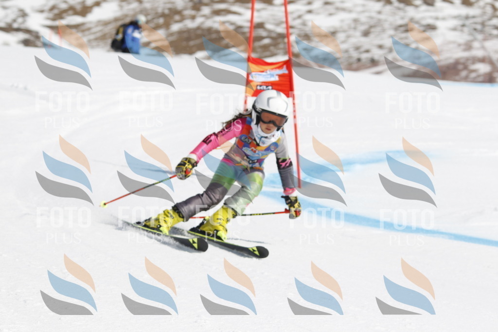 _U3G0610 | holidayphoto