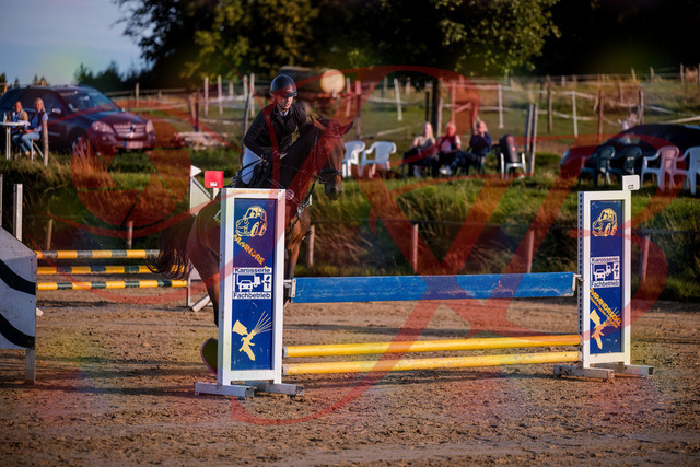 2026_10_03_Siefer-Hof_171049_Z81_07747913 | Professionelle Reitsport-, Turnier- und Eventfotografie von Robert Broda. Galerien mit ausgewählten und bearbeiteten Bildern direkt online ansehen und bestellen.