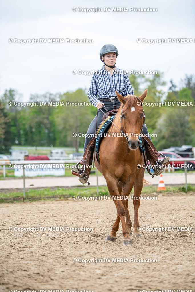 Heiligenwald Tag 1-1889 | dv-media-shop - Realisiert mit Pictrs.com