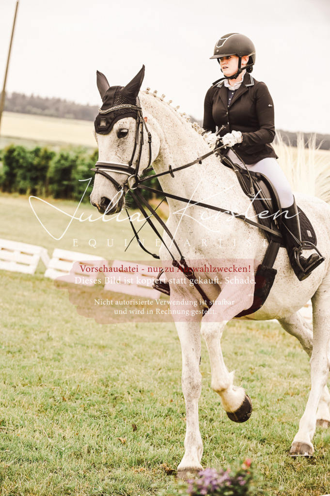 DSC_5023 | Pferde- und Turnierfotografie in Westsachsen. Pferdeportraits, Auftragszeichnungen und intuitive Kunst.