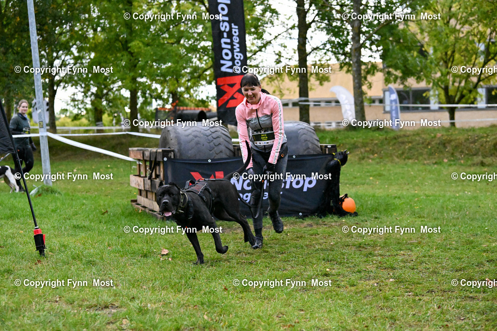 DSC_4021 | Hallo und herzlich Willkommen auf meiner Shop-Seite Fynn Most.

Ich wünsche Dir viel Spaß beim stöbern durch die Bilder, wenn Du Fragen hast oder Bilder vermisst, kannst du mir gerne eine Nachricht schreiben. - Realisiert mit Pictrs.com