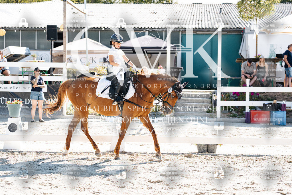CK903259 | Turnierfotografie Pferdefotografie Trier Rheinland-Pfalz Pferdesport Reitsport Tierfotografie Sportfotografie Pferdevideo Pferdevideografie Equestrianvideography equestrianphotography  - Realisiert mit Pictrs.com