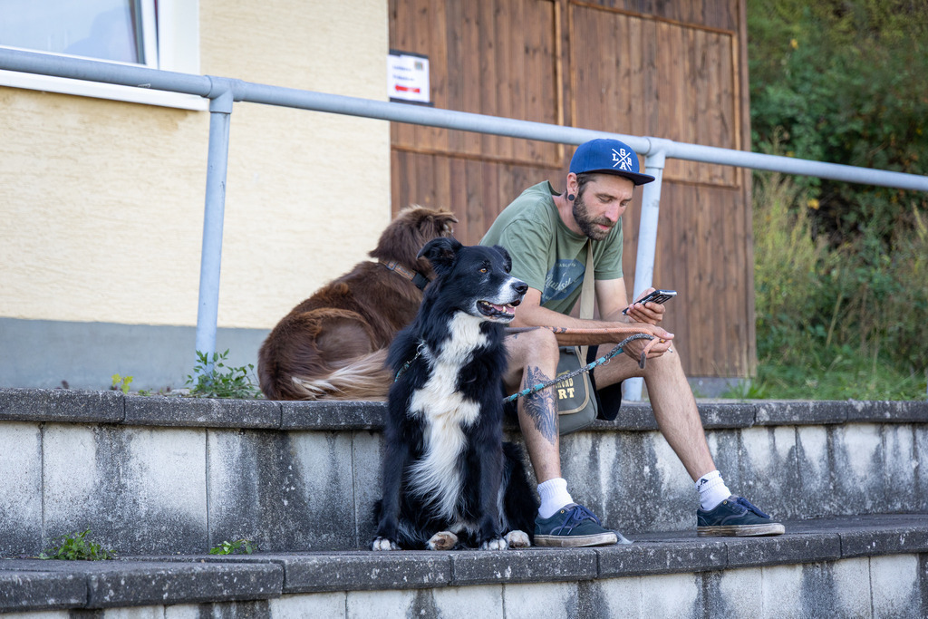 Pfotenfotografie_DV3A4201-2 | Hundefotografie, Tierfotograf, Pfotenfotografie, Fotoshooting Hund, Hunde Portrait, Hundesport, Hundeportraits, Heideshooting, Hunde, Sportfotograf, Hundefotograf, Turnierhundsport, THS,  - Realisiert mit Pictrs.com