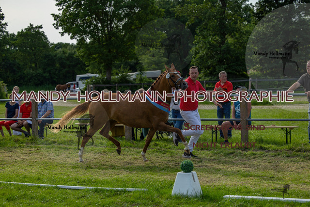 DR 3 (661 von 681) | mandyhollmannphotographie