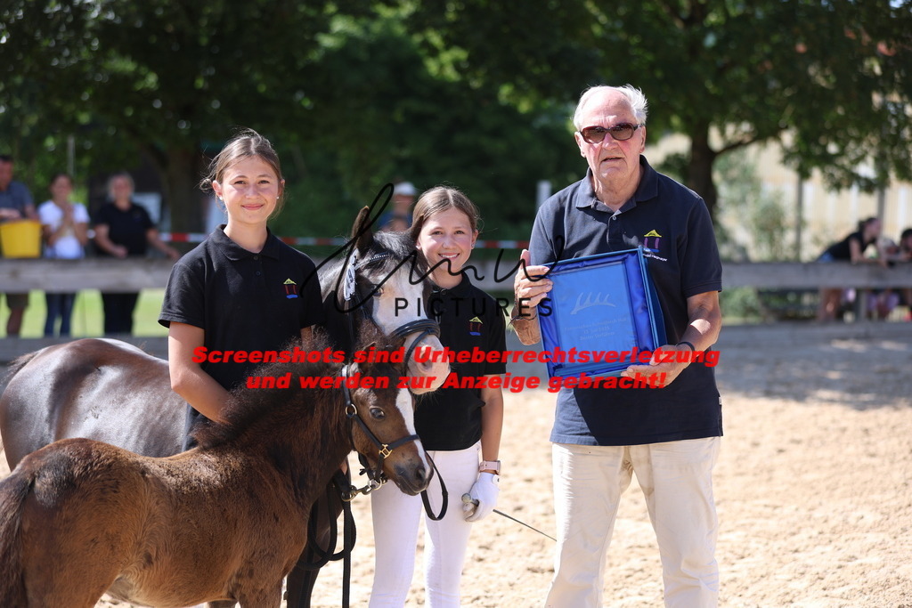 Fohlenschau_Schwäbisch_Hall_IMPRESSIONEN_20 | lmwpictures - Realisiert mit Pictrs.com