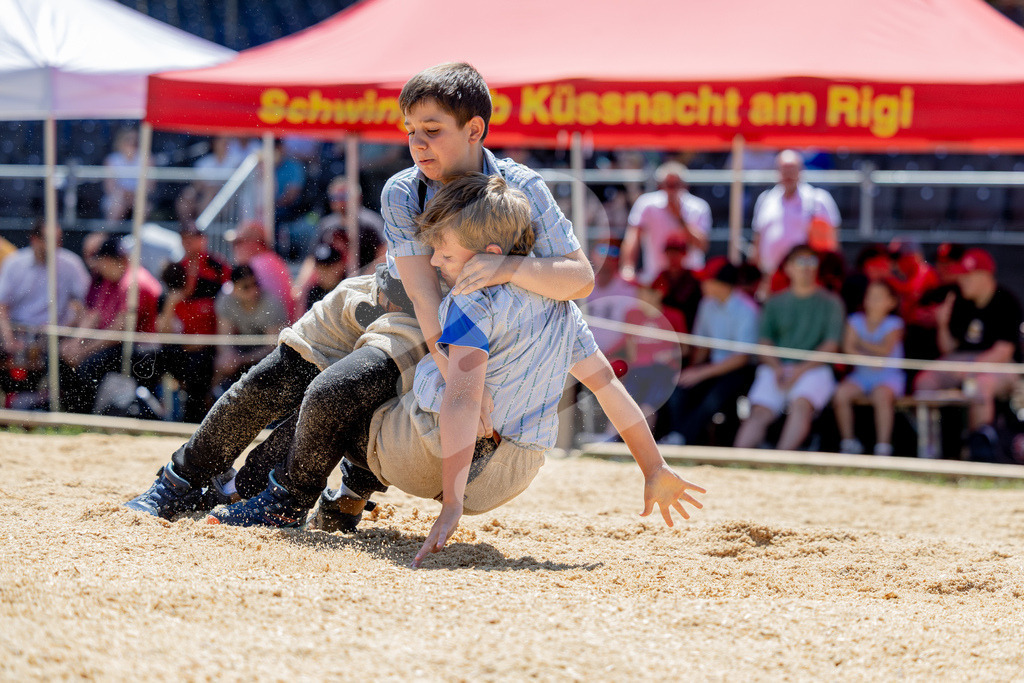 SchwyzerJung2026_00020 | Die Schwinger des Schwyzer Kantonalen Schwingerverbandes: Fotos, die Dynamik und Leidenschaft festhalten, sowie emotionale Momente aus dem traditionellen Schwingsport zeigen. - Realisiert mit Pictrs.com