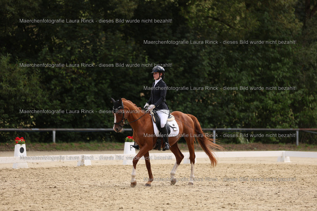 HG9A1752 | laurarinckfotografie - Realisiert mit Pictrs.com