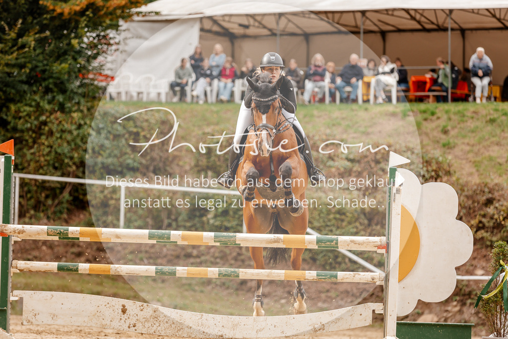 3I6A8239 | Stimmungsvolle Portraits und Reitsportfotografie im Ruhrgebiet und im Münsterland.

Pferdefotografie, Hundefotografie, Tierfotografie, Reportagen, Portraits von Tier und Mensch, Turnierfotografie in Bochum, Recklinghausen, Marl, Haltern am See, Dülmen.. - Realisiert mit Pictrs.com
