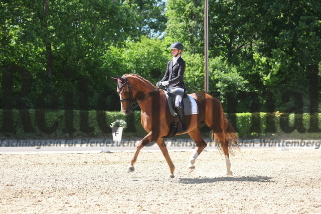 Böblingen_2025_Prfg.Nr.08_Dressurprüfung_Kl.M_Nürnberger Burgpokal_Mila Seiderer_Liljana (6) | Alle Fotos der Reiterjournal Fotografin Doris Matthaes im Reiterjournal Online-Fotoshop. - Realisiert mit Pictrs.com