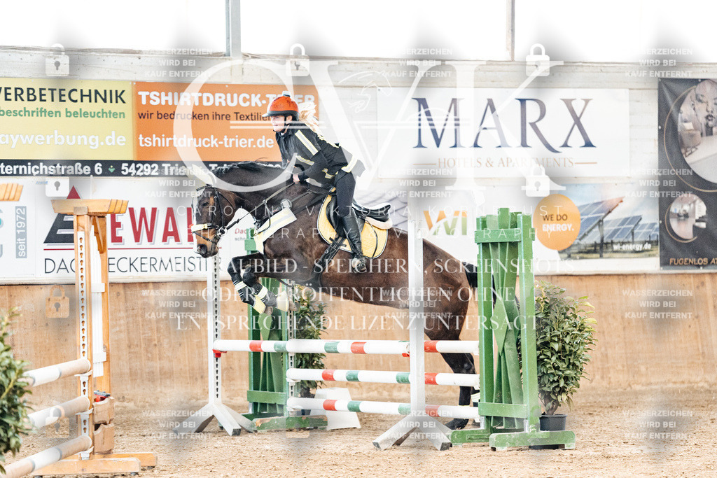 CK905393 | Turnierfotografie Pferdefotografie Trier Rheinland-Pfalz Pferdesport Reitsport Tierfotografie Sportfotografie Pferdevideo Pferdevideografie Equestrianvideography equestrianphotography  - Realisiert mit Pictrs.com