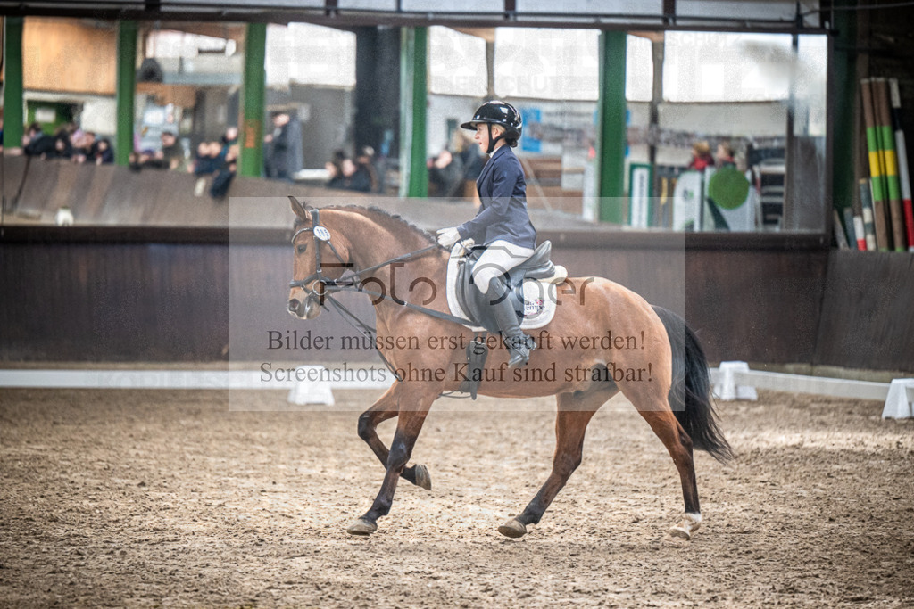 DOS_0959 | Entdecke hochwertige Reitturnierfotos von Foto Oger. Professionell, emotional und authentisch – jetzt Lieblingsmomente im Shop bestellen.Deutschlandweite Turnierfotografie. - Realisiert mit Pictrs.com