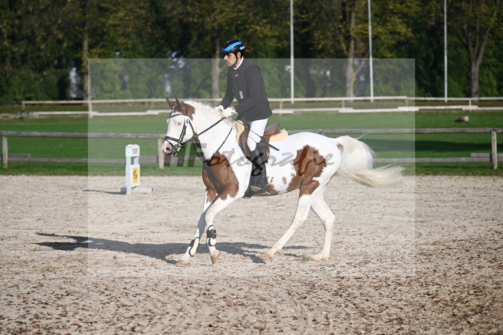 Kat-Nr. 4 Shalimar Coloured Phenom enal_Hoffmann_44240958 | hf-fotografie - Realisiert mit Pictrs.com