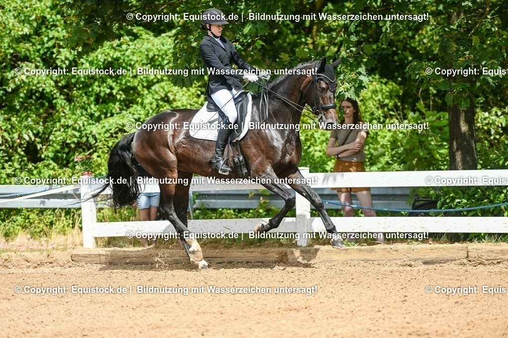 20230716_01_Dressurprüfung Kl.M_0069 | equistock
