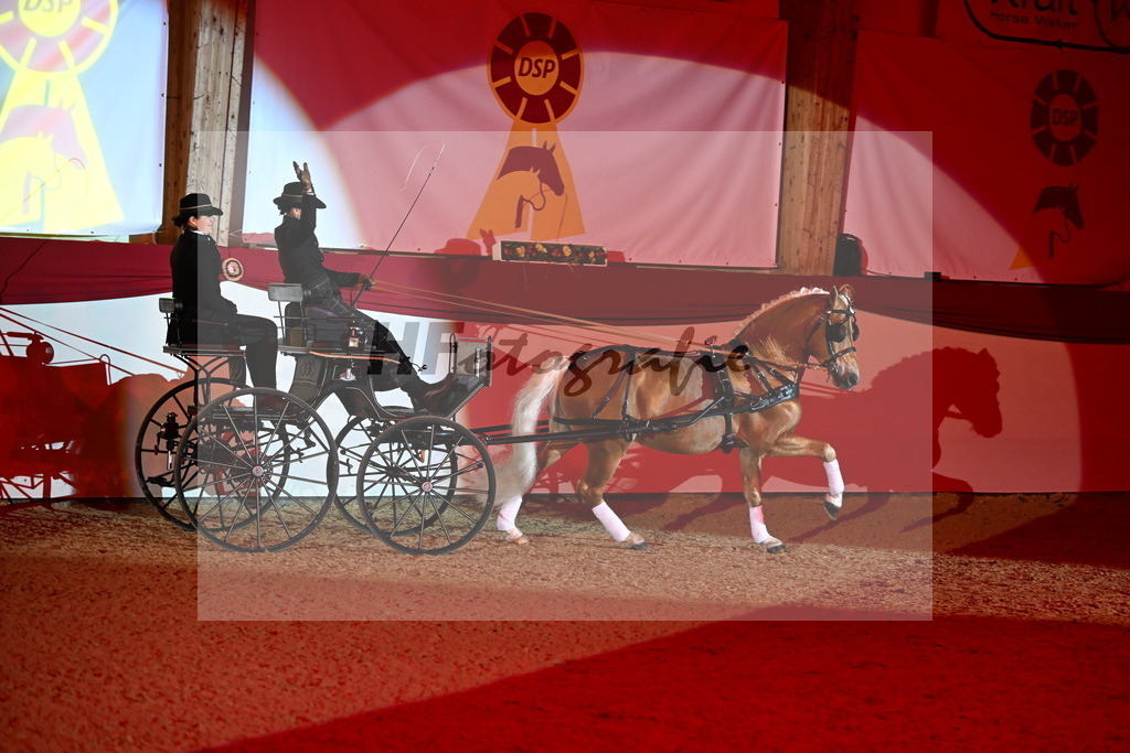 DSP_Avici_As_Karosser_2254532 | hf-fotografie - Realisiert mit Pictrs.com