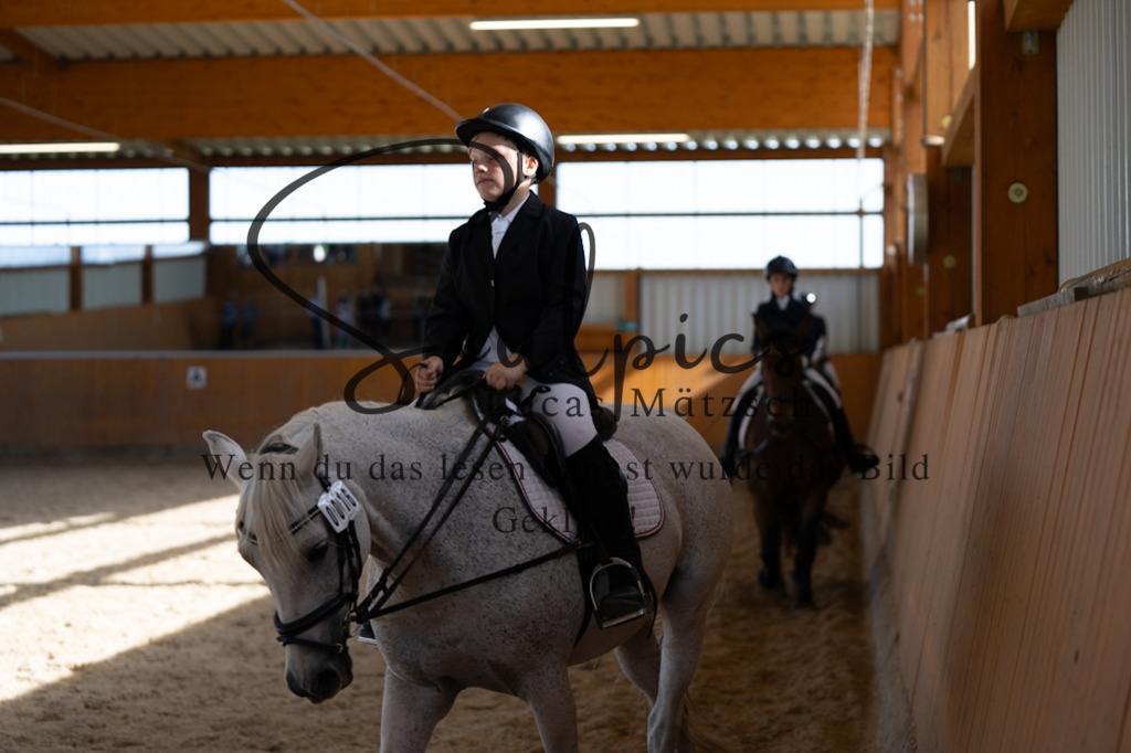 A7V02120 | Pferdefotograf