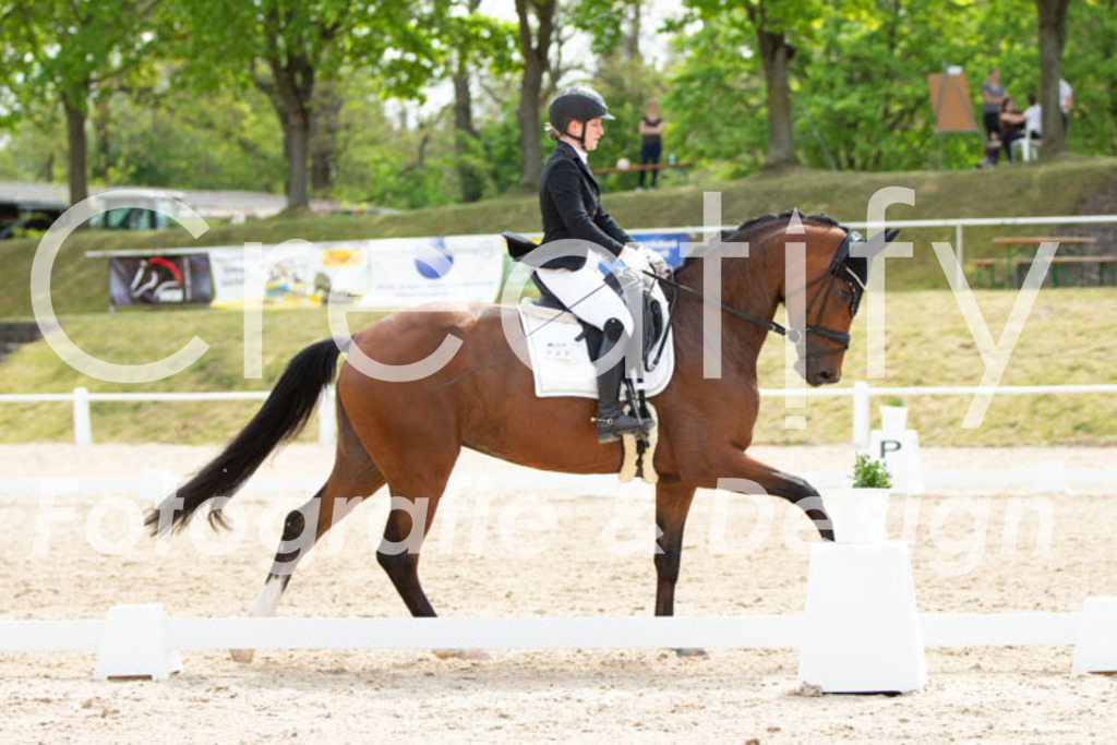 IMG_2460 | Creatify Fotografie