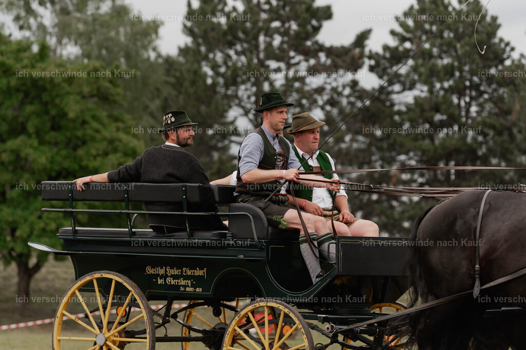 Showprogramm-363 | working equitationturnier fotograf videograf stoibphotography marixx film working equitation deutschland reitsport turnierfotografie eventfotografie equestrian events