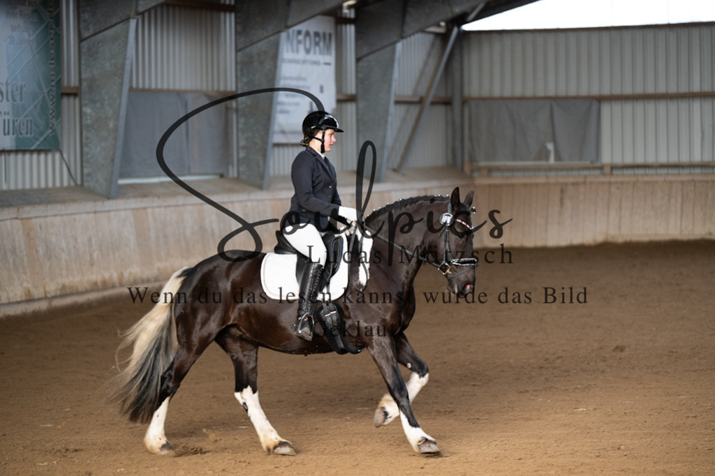 A7V05262 | Pferdefotograf