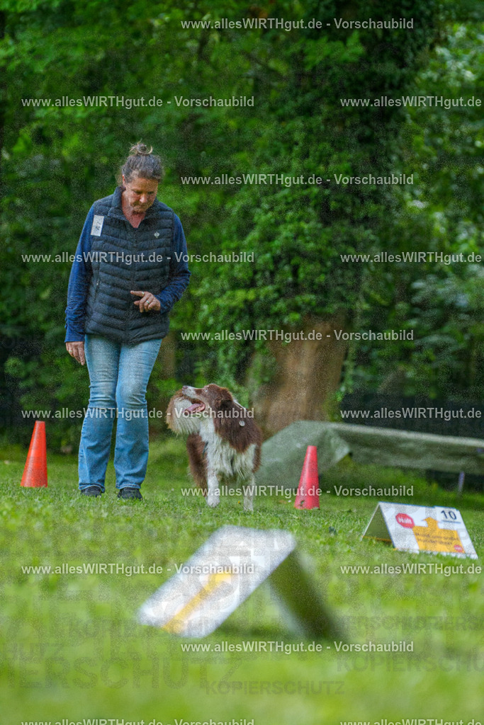 @allesWIRTHgut_Tierfotografie - www.allesWIRTHgut.de - 7R505470 | Professionelle Tierfotografie in Mönchengladbach von Daniel Wirth (allesWIRTHgut). Liebevolle & natürliche Bilder von Hunden & Katzen für unvergessliche Erinnerungen.