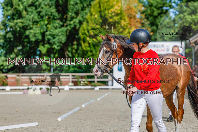 GK (522 von 759) | mandyhollmannphotographie