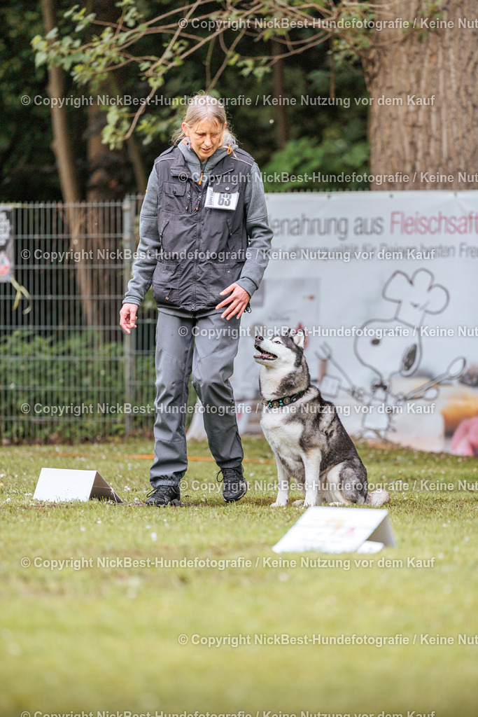 RO-Blumenthal-2026-Nickbest-Hundefotografie-1283 | Dein Hund! Dein Moment! Deine Erinnerungen! Hundefotografie in Bremen Blumenthal. Ich fange die besonderen Momente deines Vierbeiners ein – ob Indoor mit Blitzanlage oder in der freien Natur. Sicher dir dein Moment und dein Termin für eure Erinnerungen.