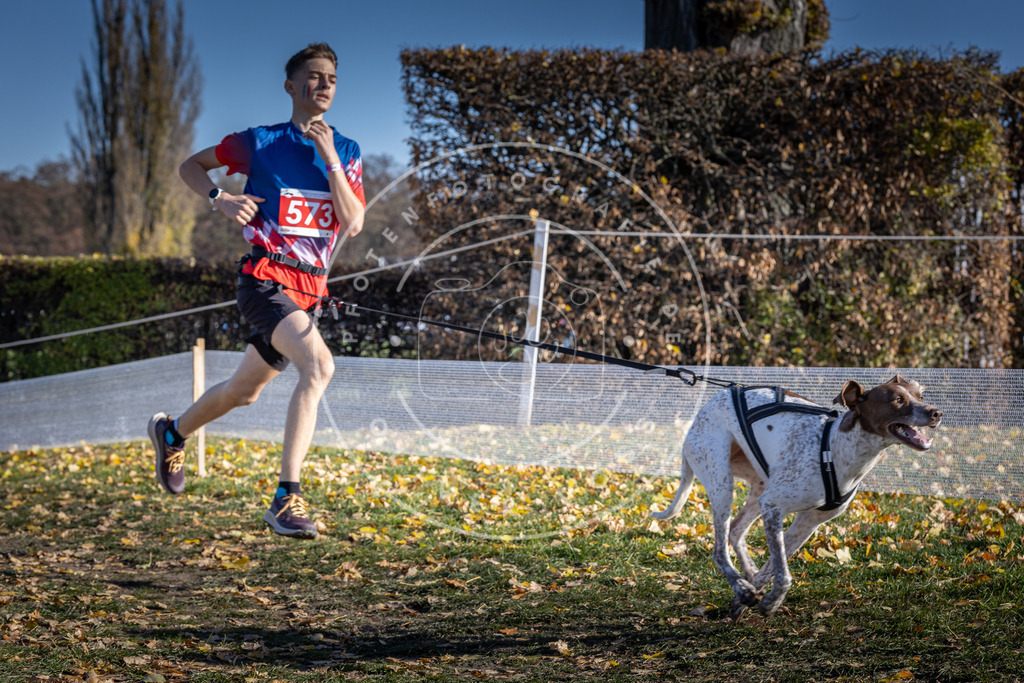 CaniXpix_DV3A8920 | Hundefotografie, Tierfotograf, Pfotenfotografie, Fotoshooting Hund, Hunde Portrait, Hundesport, Hundeportraits, Heideshooting, Hunde, Sportfotograf, Hundefotograf, Turnierhundsport, THS,  - Realisiert mit Pictrs.com