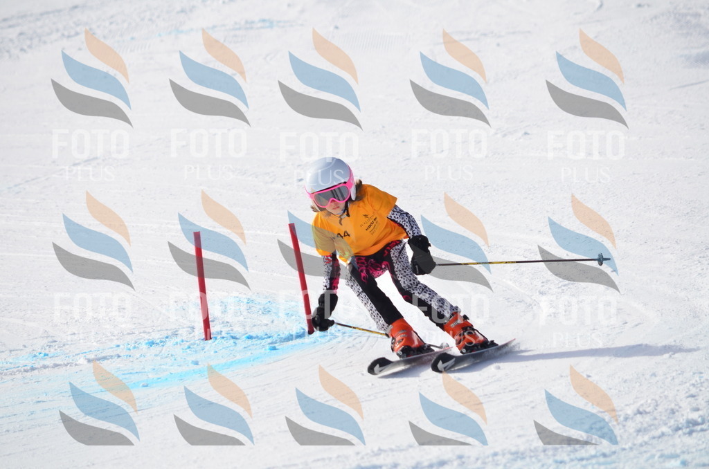 C7706 | holidayphoto