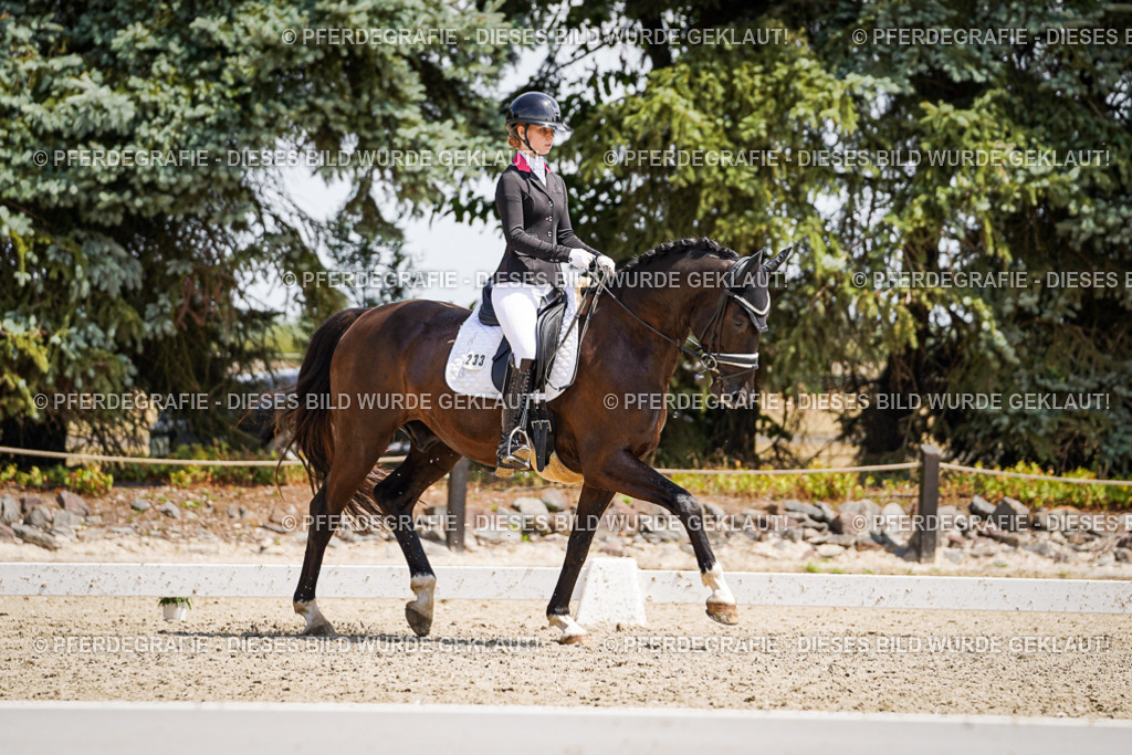 DSC01533 | Pferdegrafie