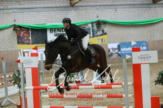 IMG_0701 | Turnierfotos kaufen im Webshop von Daniel Kuhl Photography – entdecke professionelle Reitsportfotos aus Turnieren & Events. Hochwertige Turnierbilder online bestellen & sichern. Jetzt Fotos von Reitsportturnieren kaufen!