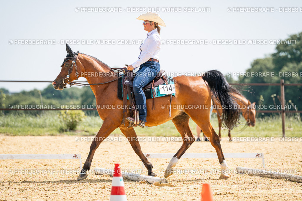 DSC00397 | Pferdegrafie