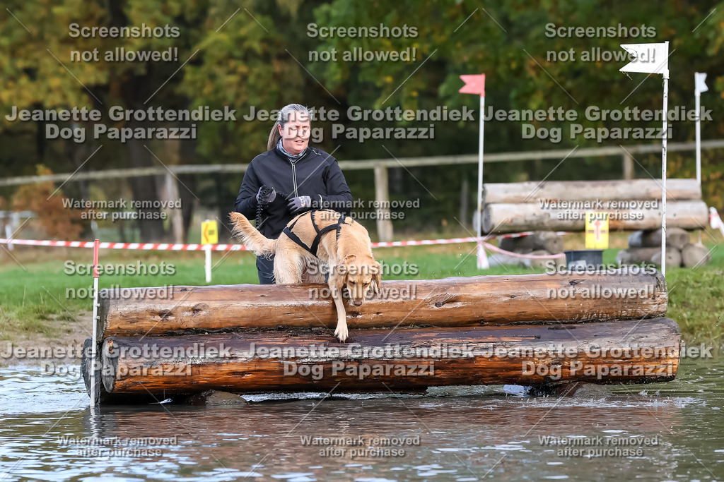 Dog Paparazzi - Strongdog 10-25-6951 | Dog Paparazzi Jeanette Grottendiek Fotografie & Videografie - Realisiert mit Pictrs.com