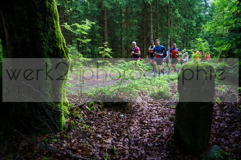 Rennsteiglauf Marathon 2024 | 25. Mai 2024 - 42,2 km von Neuhaus nach Schmiedefeld