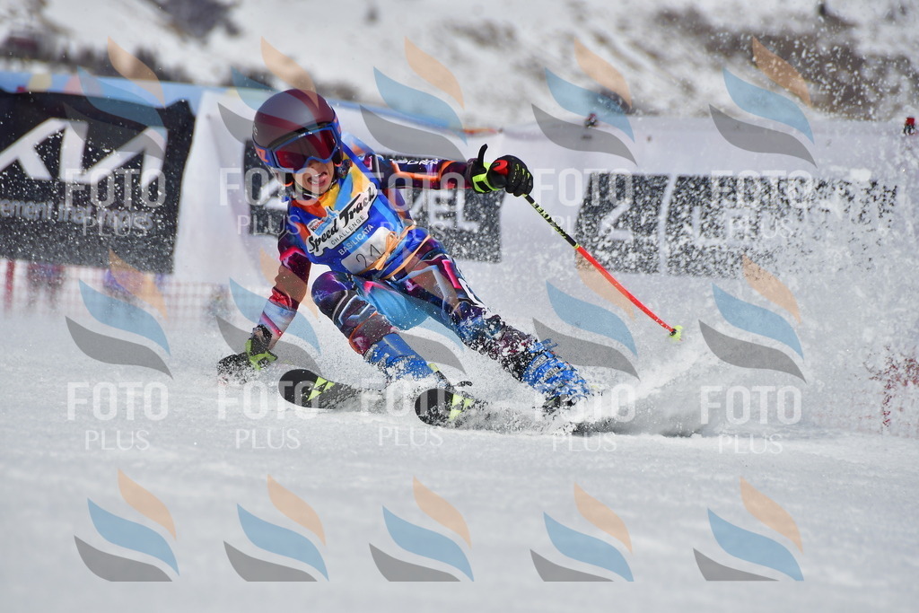 _DSC7231 | holidayphoto