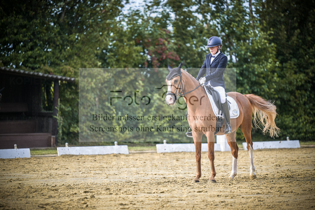 DOS_0143 | Entdecke hochwertige Reitturnierfotos von Foto Oger. Professionell, emotional und authentisch – jetzt Lieblingsmomente im Shop bestellen.Deutschlandweite Turnierfotografie. - Realisiert mit Pictrs.com