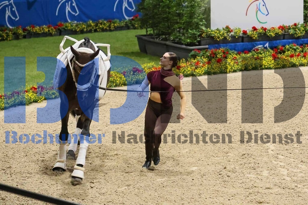 28.06.2025 | 28.06.2025 - Realisiert mit Pictrs.com