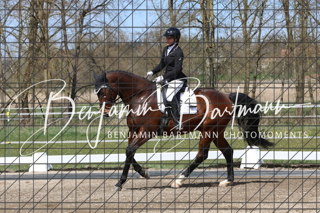 AZ2A3938 | Benjamin Bartmann Photomoments