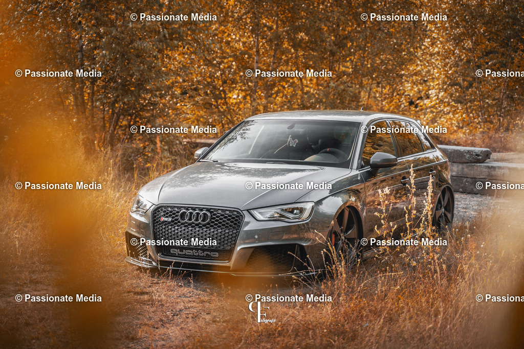 DSC07201 | Passionate Media, dein Fotograf aus Brandenburg, Märkisch Oderland, im Bereich Motorsport, Autos und Motorräder sowie Events und auch Hunde. Shootings oder auch Eventbegleitungen können bei mir gebucht we