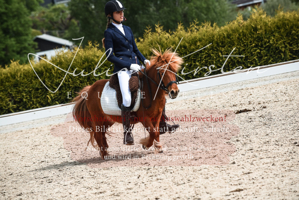 20230518_JK-Röhrsdorf-11-0933 | Pferde- und Turnierfotografie in Westsachsen. Pferdeportraits, Auftragszeichnungen und intuitive Kunst.