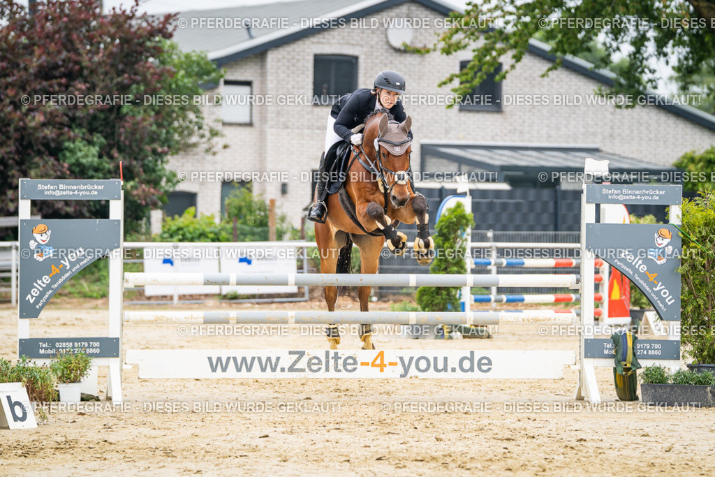 DSC09868 | Pferdegrafie