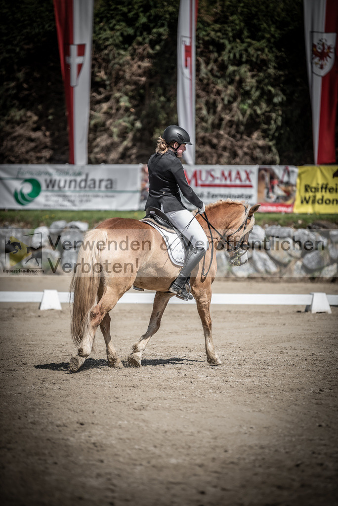 DSC_0657 | equestrian-live-com
