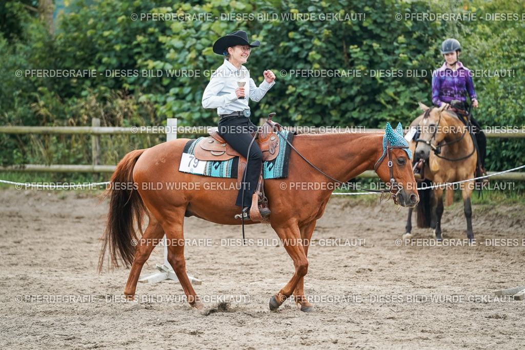 DSC04166 | Pferdegrafie