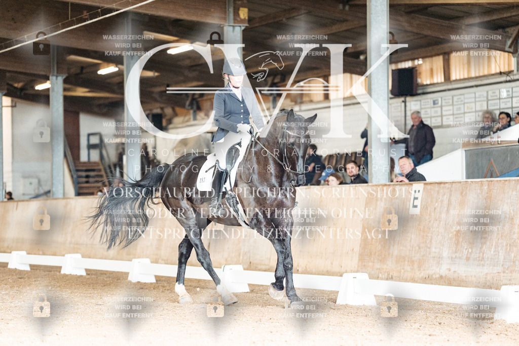 CK902222 | Turnierfotografie Pferdefotografie Trier Rheinland-Pfalz Pferdesport Reitsport Tierfotografie Sportfotografie Pferdevideo Pferdevideografie Equestrianvideography equestrianphotography  - Realisiert mit Pictrs.com