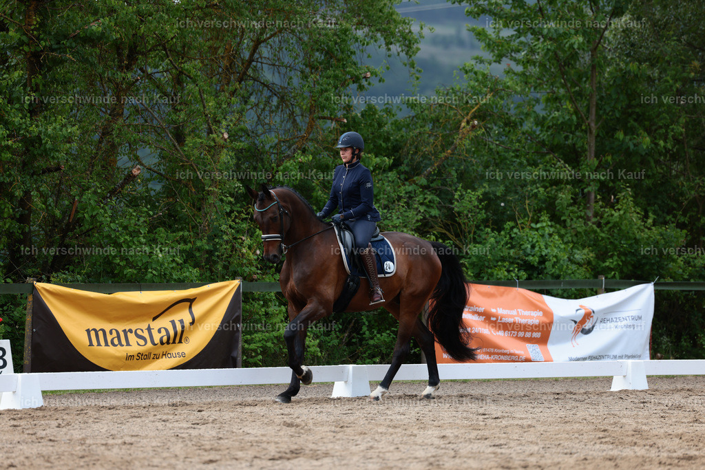 KlasseL_Stoibphotography_CAM21445.JPG | working equitationturnier fotograf videograf stoibphotography marixx film working equitation deutschland reitsport turnierfotografie eventfotografie equestrian events